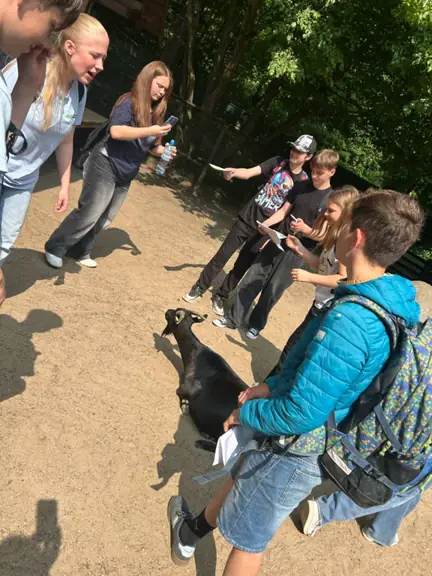 Uczniowie bawią się w zagrodzie dla kóz