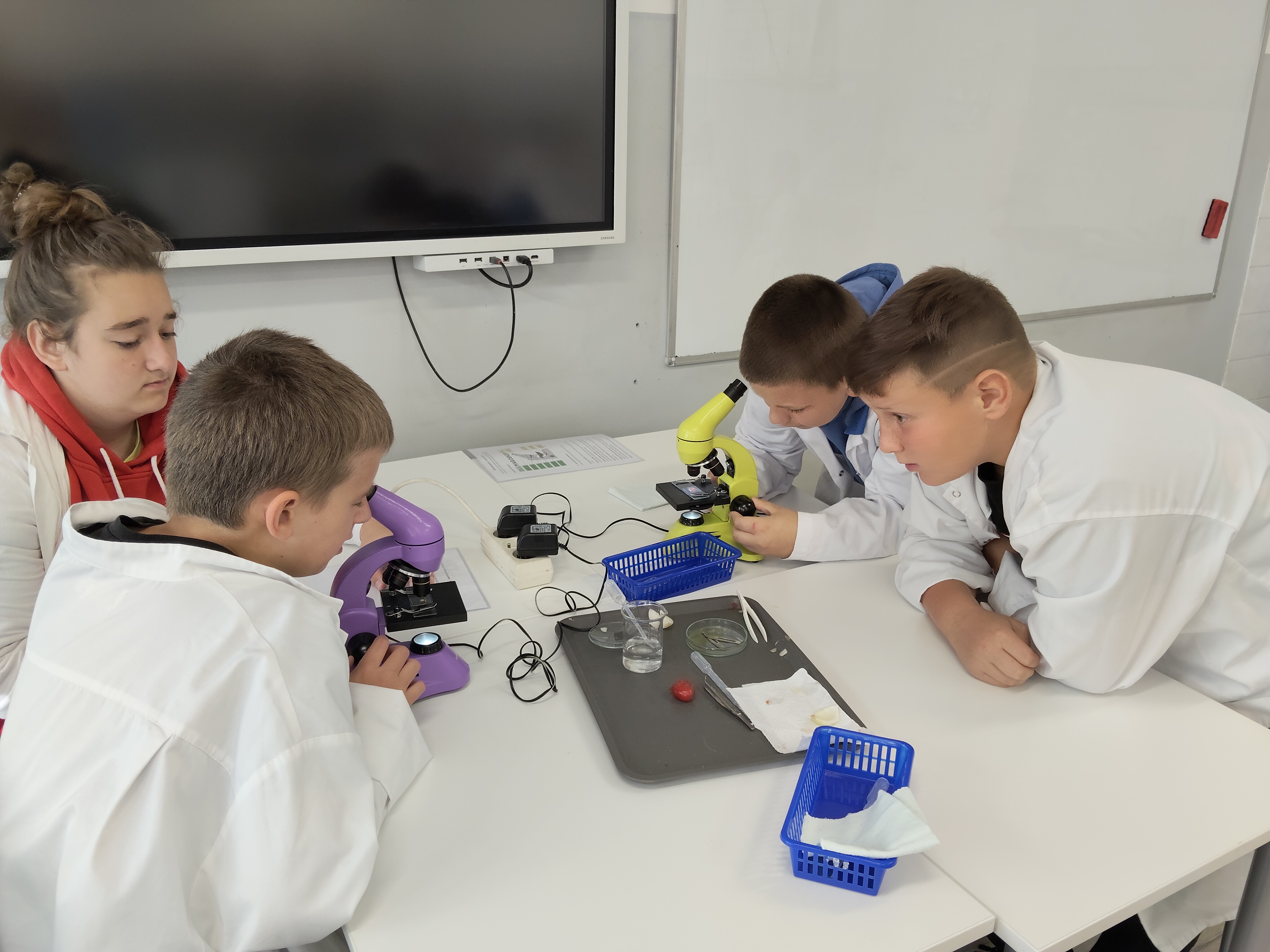 Uczniowie prowadzą obserwację mikroskopową