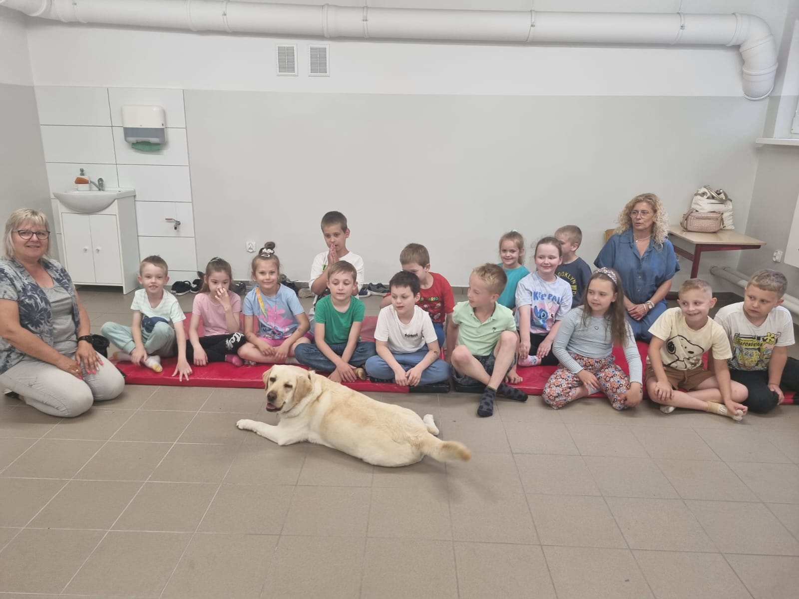 Ogólnopolski Dzień dogoterapii - zdjęcie 1